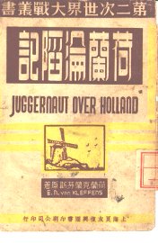 荷兰沦陷记 - 封面图