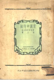 荒漠中的城 - 封面图