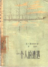 一个人的遭遇 - 封面图