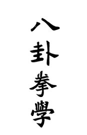 八卦拳学 - 封面图