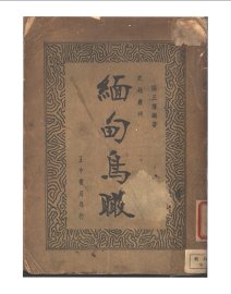 缅甸鸟瞰 - 封面图