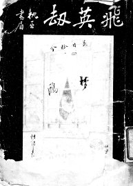 飞英劫 - 封面图