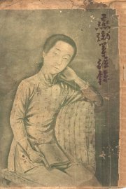 哀情小说  燕蹴筝弦录 - 封面图