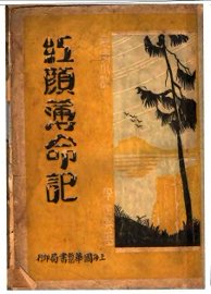 红颜薄命记 - 封面图