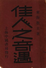 佳人之奇遇 - 封面图