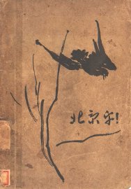 北京乎!  第2版 - 封面图