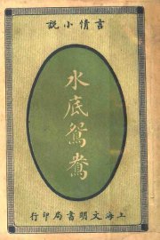 言情小说  水底鸳鸯 - 封面图