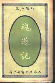 魂游记  全1册 - 封面图