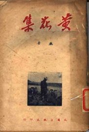 黄花集 - 封面图
