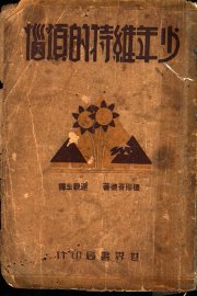 少年维特的烦恼 - 封面图