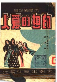 幻想的爱人 - 封面图