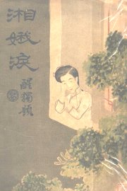 湘娥泪  第2版 - 封面图