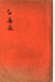 白蔷薇 - 封面图