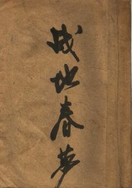 战地春梦 - 封面图