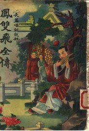 凤双飞全传 第2册 - 封面图