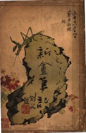 新盦笔记 - 封面图