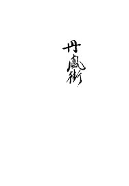 丹凤街 - 封面图