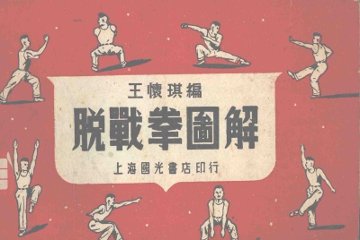 脱战拳图解 - 封面图