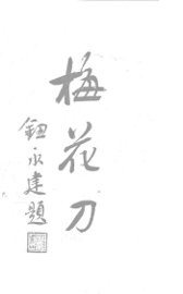 梅花刀图说 - 封面图