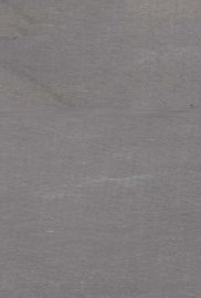 形意拳谱五纲七言论 - 封面图