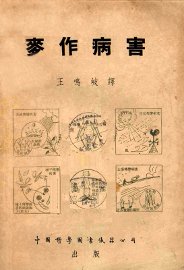 麦作病害 - 封面图