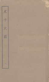 皮子文薮  2 - 封面图