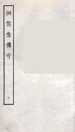 倒鸳鸯传奇  下 - 封面图