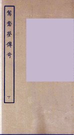 鸳鸯梦传奇  下 - 封面图