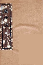 万州志  2 - 封面图