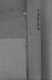 中国蜀黍论 - 封面图