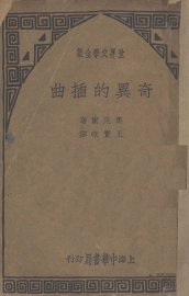 奇异的插曲 - 封面图