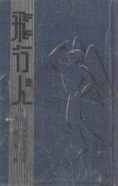 飞行人 - 封面图