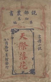 天际落花 - 封面图