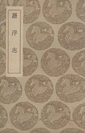 罗浮志 - 封面图