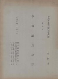 中国鸵鸟化石  第4册 - 封面图