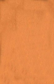 六醴斋医书十种  卷3-4 - 封面图