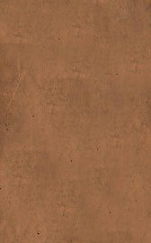 外科正宗  卷2 - 封面图