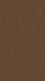 洪容斋笔记  卷9-16 - 封面图