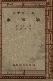 暴风雨 - 封面图