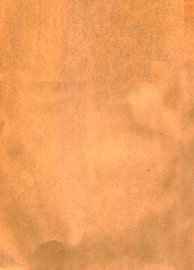 史前的地球 - 封面图