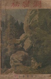 秘密洞 - 封面图