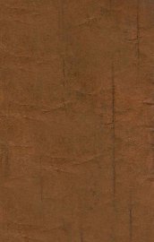 剑门侠女 上 - 封面图