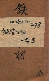 铁臂飞妞  奇侠小说 - 封面图