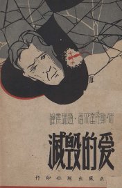 爱的毁灭 - 封面图