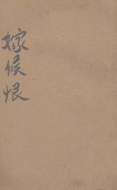 嫁侯恨  社会小说 - 封面图