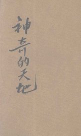 神奇的天地 - 封面图