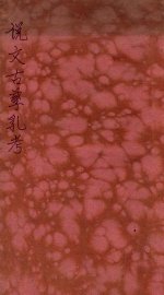 说文古孳乳考 - 封面图