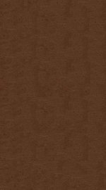 黄帝内经素问  卷8 - 封面图