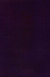 殷契佚存考释 - 封面图