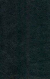 凝清室古官印存 - 封面图